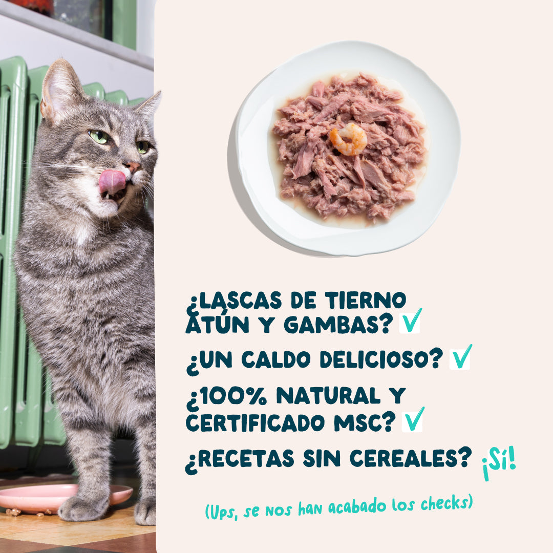 Filetes de atún con gambas para gatos Edgard & Cooper 70 g