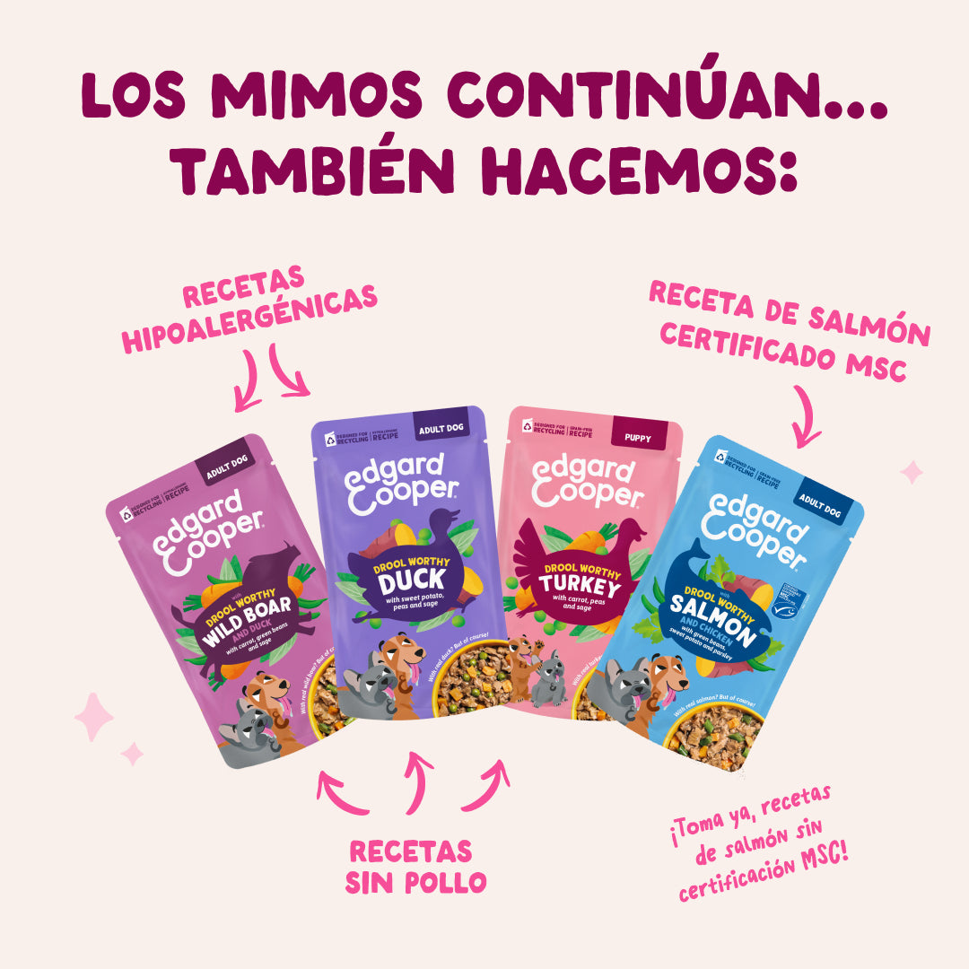Multipack Guiso para perro Edgard & Cooper 8x150 g