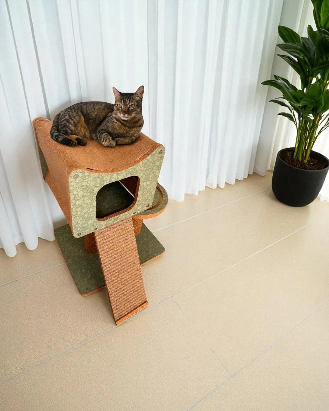 Estructura De Escalada De Corcho Faro_3