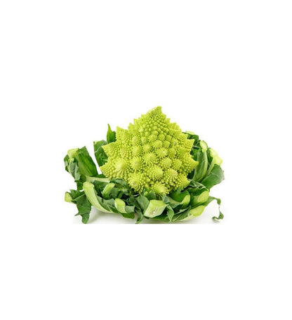 Plantón Romanesco (10 Unidades)_0