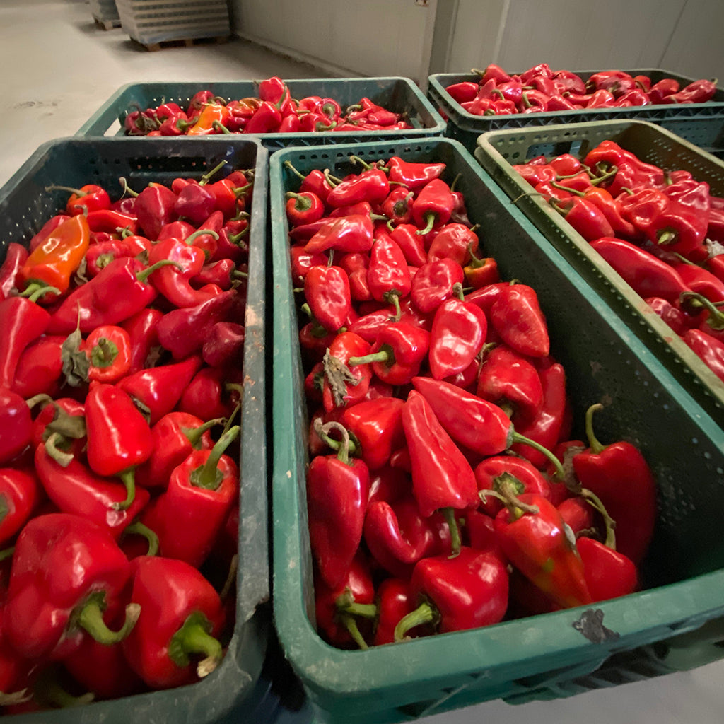 Piquillos Con Salsa De Tomate Eco 290g._3