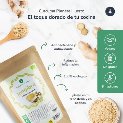 Gengibre em pó biológico Planeta Huerto 500 g
