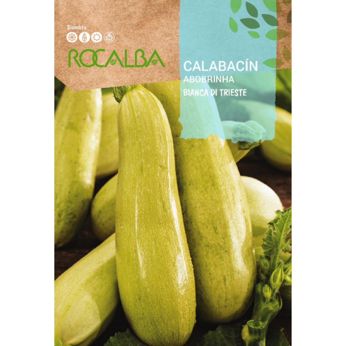 Sementes de curgete bianca di Trieste