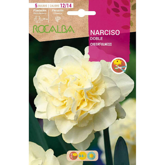 Bulbo Duplo Narciso Alegria Branco 5 peças Rocalba