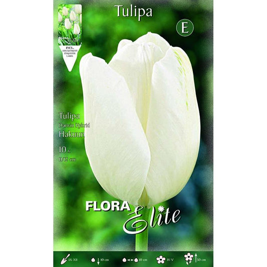 Bolbos Tulipa Branca Darwin Elite 10 unidades