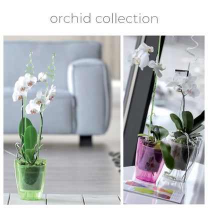 Maceta Coubi Orchid 2,4l., Dimensiones (mm) 160x160x183, Color Transparente Mate