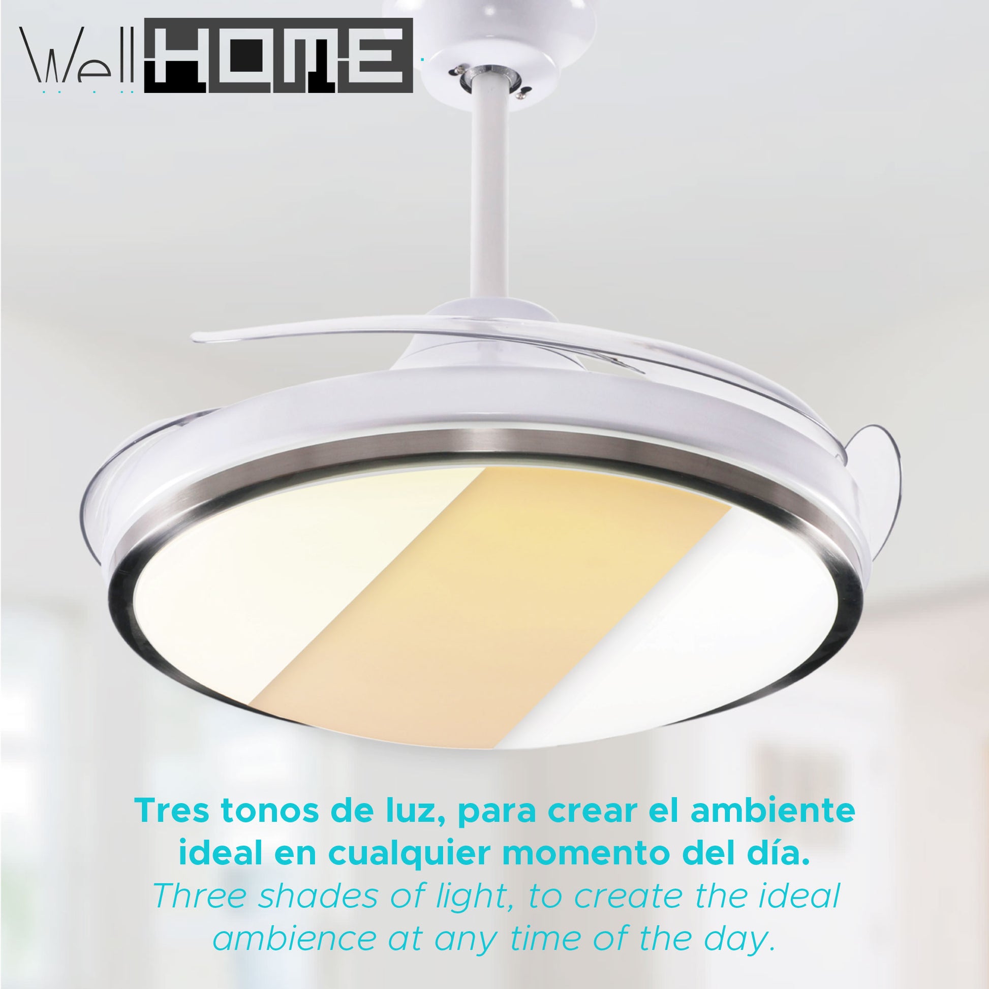 Wellhome Ventilador Techo LED Ø53x30cm, Silencioso, 6 Velocidades, Luz 3 Tonos y Mando_2