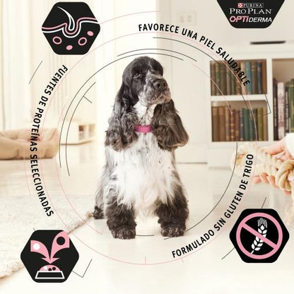 PRO PLAN Médio OPTIDERMA Salmão 14 kg