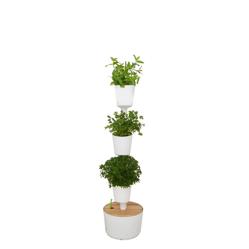 Huerto Vertical De Interior Citysens 4 Macetas Con Autorriego Y Semillas Aromáticas – Negro, Polipropileno Reciclado_0