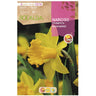 Bolbo de narciso trombeta amarelo Golden Harvest 5 peças Rocalba
