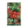 Fritillaria Imperialis bolbo gigante vermelha Elite 1 unid.