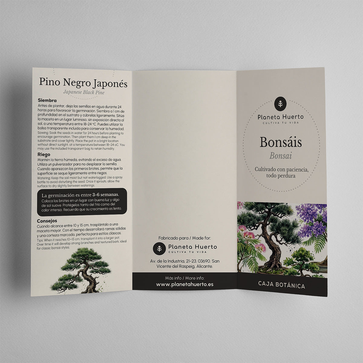 Caja Botánica: Bonsái "Cultivado con paciencia, todo perdura" Planeta Huerto