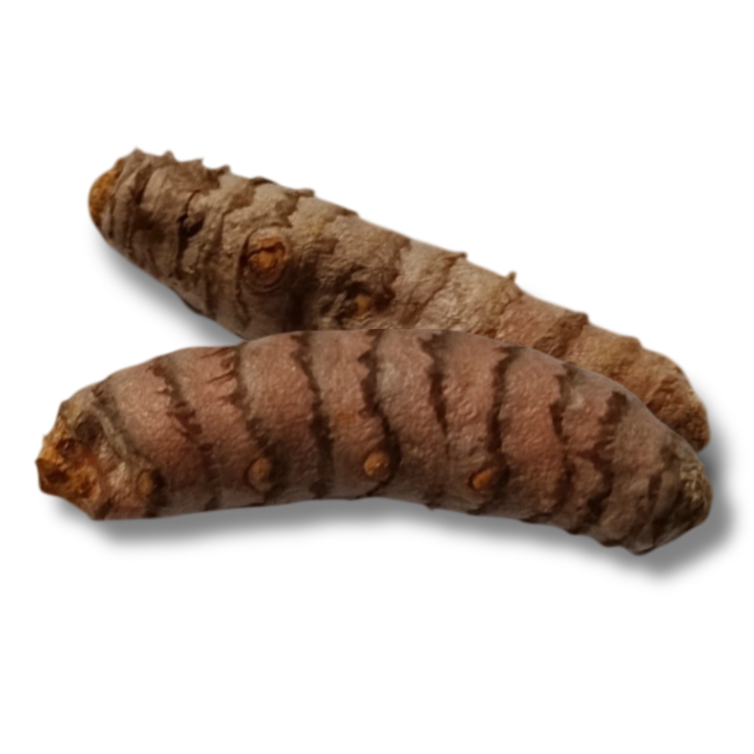 2 Rizomas De Curcuma Aprox. 2-4 Cms_0