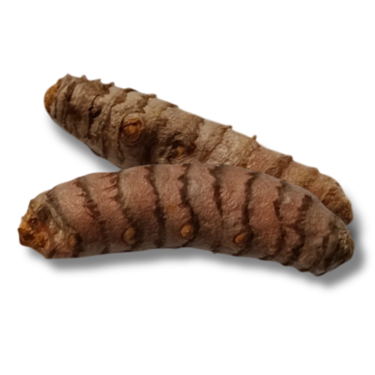 2 Rizomas De Curcuma Aprox. 2-4 Cms_0