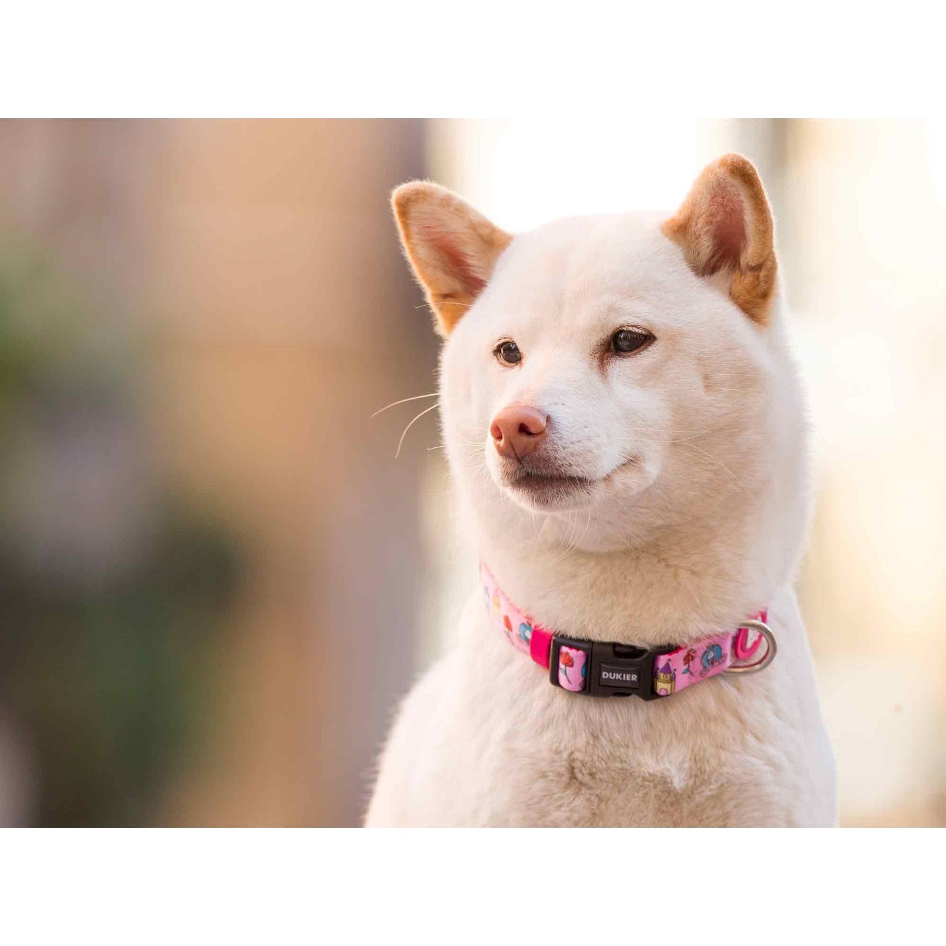 Collar para perro PRINCESS Dukier XS