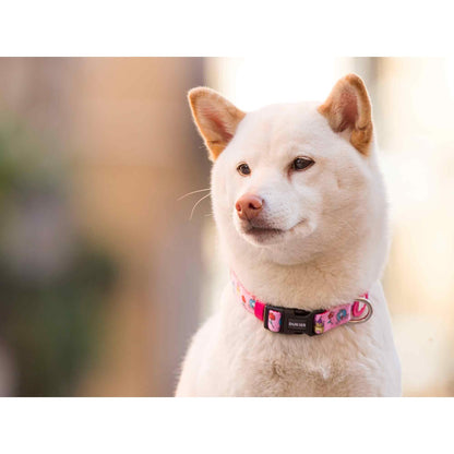 Coleira para cão Princesa Dukier