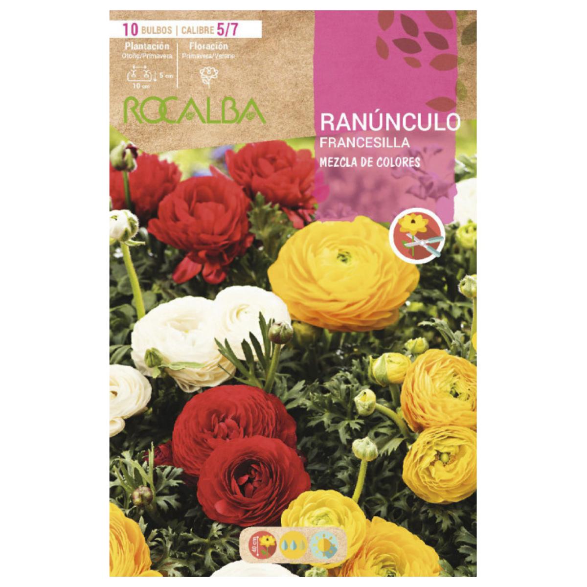 Bulbo Ranunculus francesilla mix 10 unidades Rocalba
