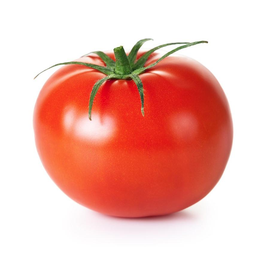 Mudas de tomate em solo, 6 unidades, linha tradicional
