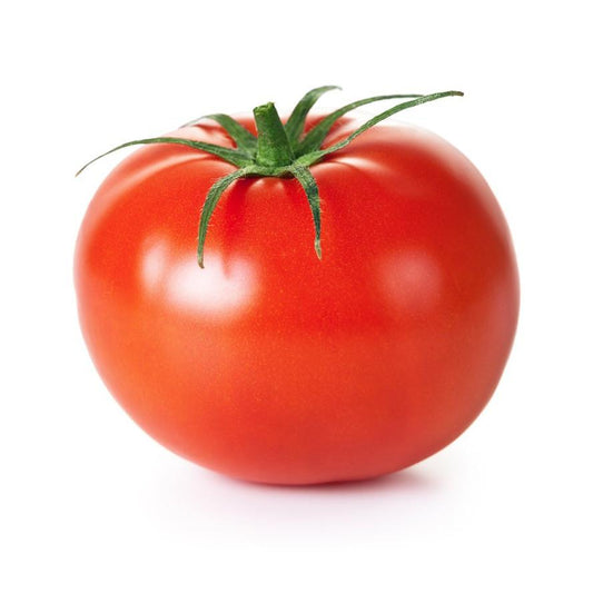 Mudas de tomate em solo, 6 unidades, linha tradicional
