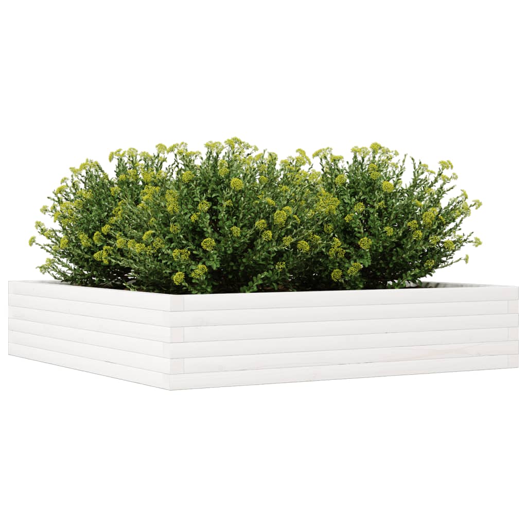 Jardinera De Madera Maciza De Pino Blanca 110x110x23 Cm_3