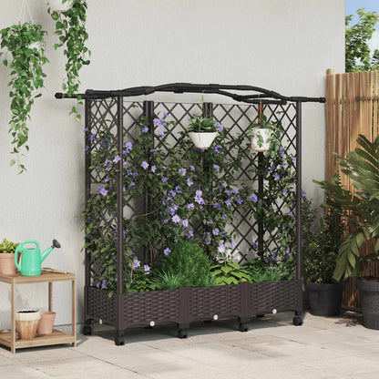 Cama Elevada Con Trellis Y Techo Marrón 163 X 40 X 129 Cm Pp_1