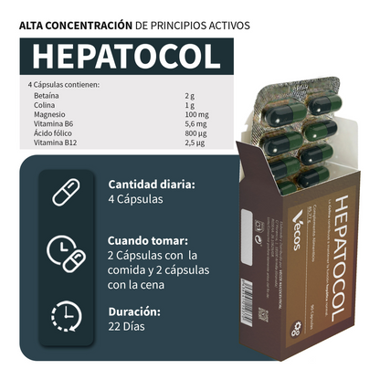 Hepatocol VECOS (90 Cápsulas) | Control de hígado graso | Metabolismo de las grasas | Colina + Betaína_2
