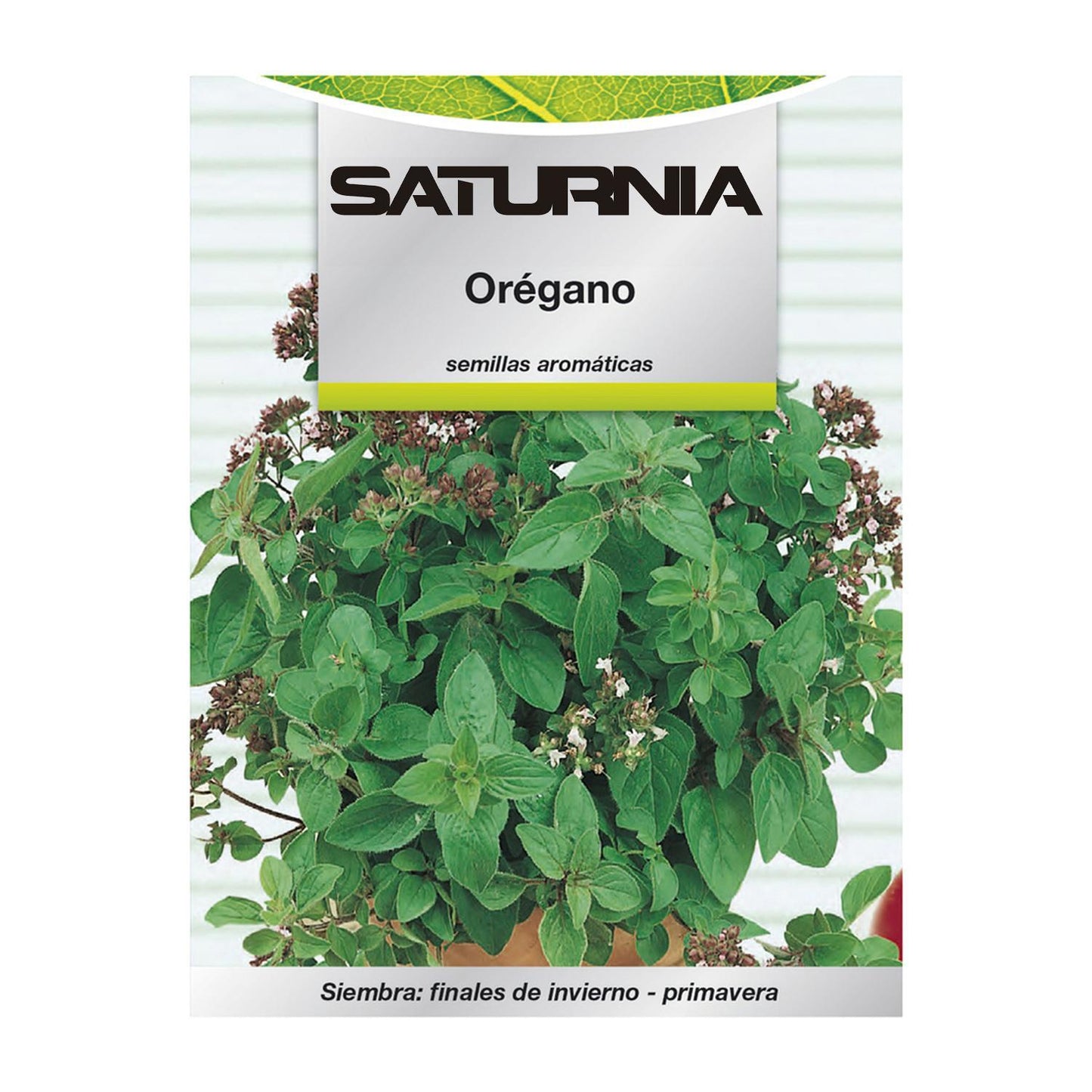 Semillas Aromaticas Oregano (0.3 Gramos) Horticultura, Horticola, Semillas Huerto._0
