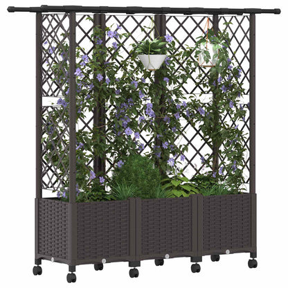 Cama Elevada Con Trellis Y Techo Marrón 163,5 X 40 X 142 Cm Pp_2