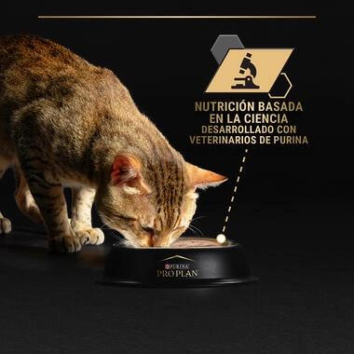 Pro Plan Cat Senior 7+ Longevis Mousse com Atum Purina 85g