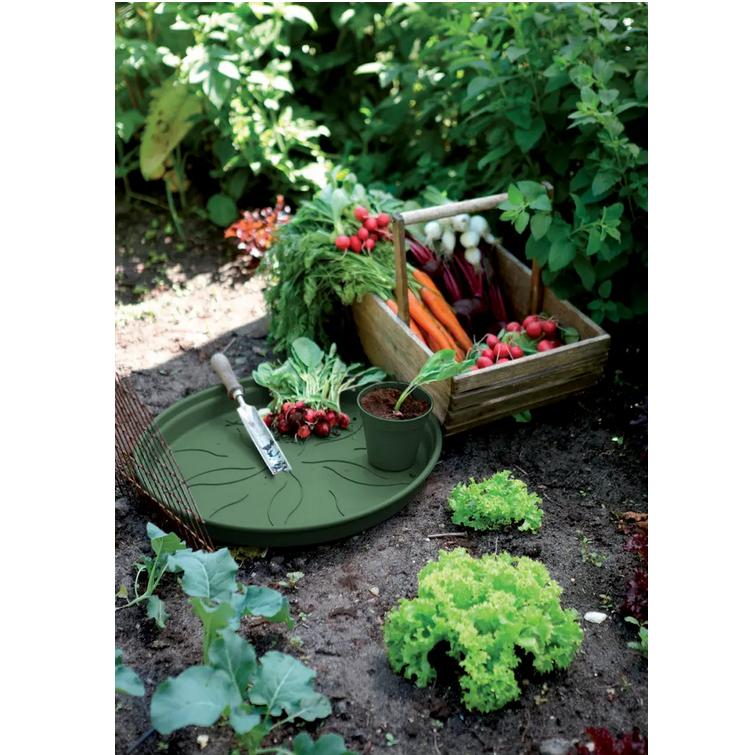 Prato de panela Green Basics Elho Green 17 cm