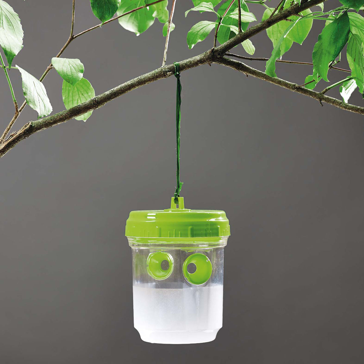 Armadilha para vespas e moscas da fruta, 2 unidades, Verdemax