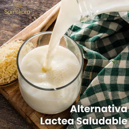 Leche De Arroz En Polvo Bio - 500g | Bebida Vegetal Ecológica Vegana, Sin Lactosa, Sin Azúcares Añadidos, Sin Gluten_3