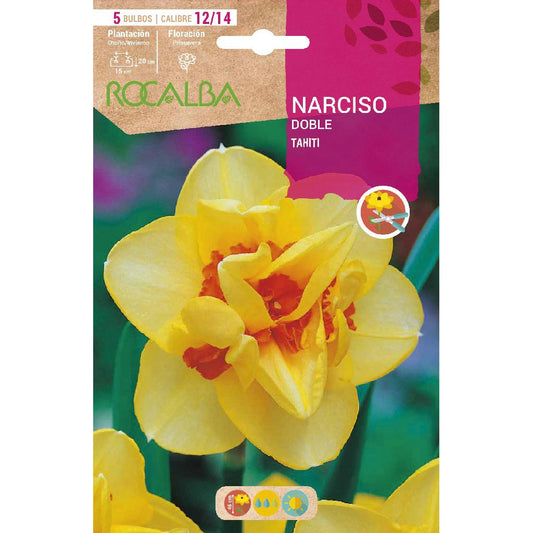 Bulbo Narciso Duplo Tahiti amarelo laranja 5 unidades Rocalba