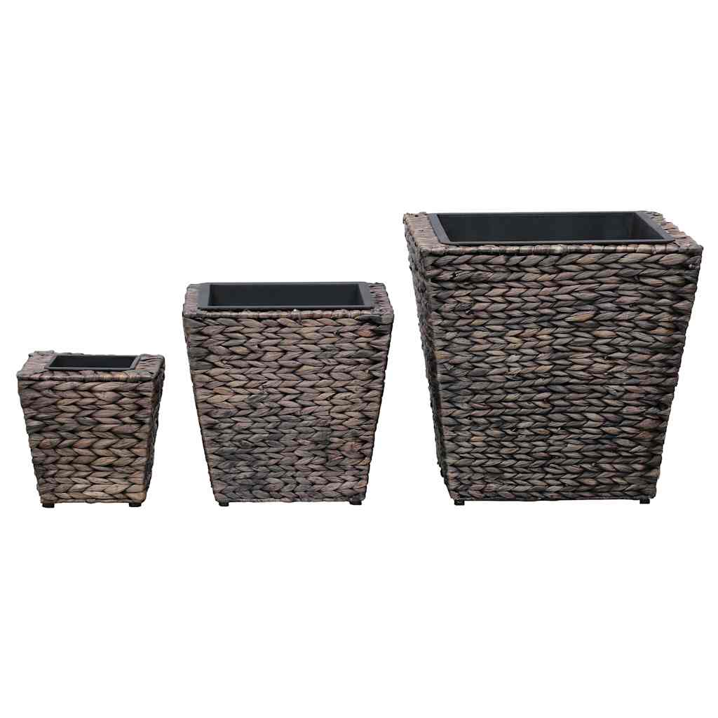 Conjunto De Arriates 3 Piezas Jacinto De Agua Marrón_2