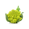 Muda de couve-flor Romanesco em vaso de 11 cm