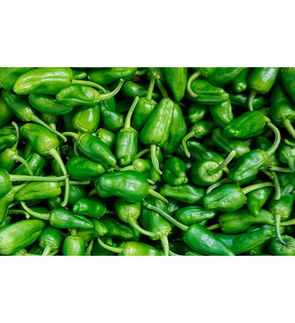Plantón Pimiento De Padrón Dulce (10 Unidades)_0