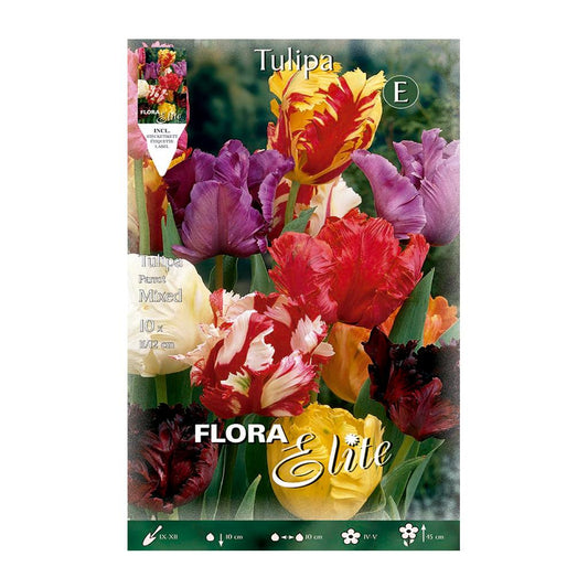 Bolbos de tulipa Elite Mix Parrot 10 unidades