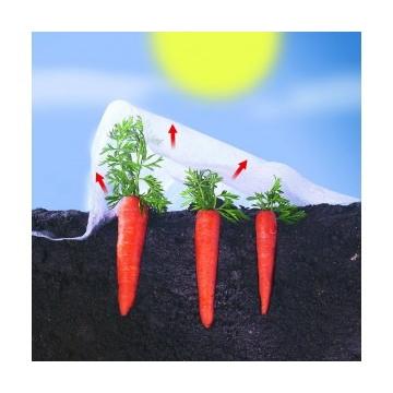 Véu de crescimento Climatex Nortene 2 x 5 m