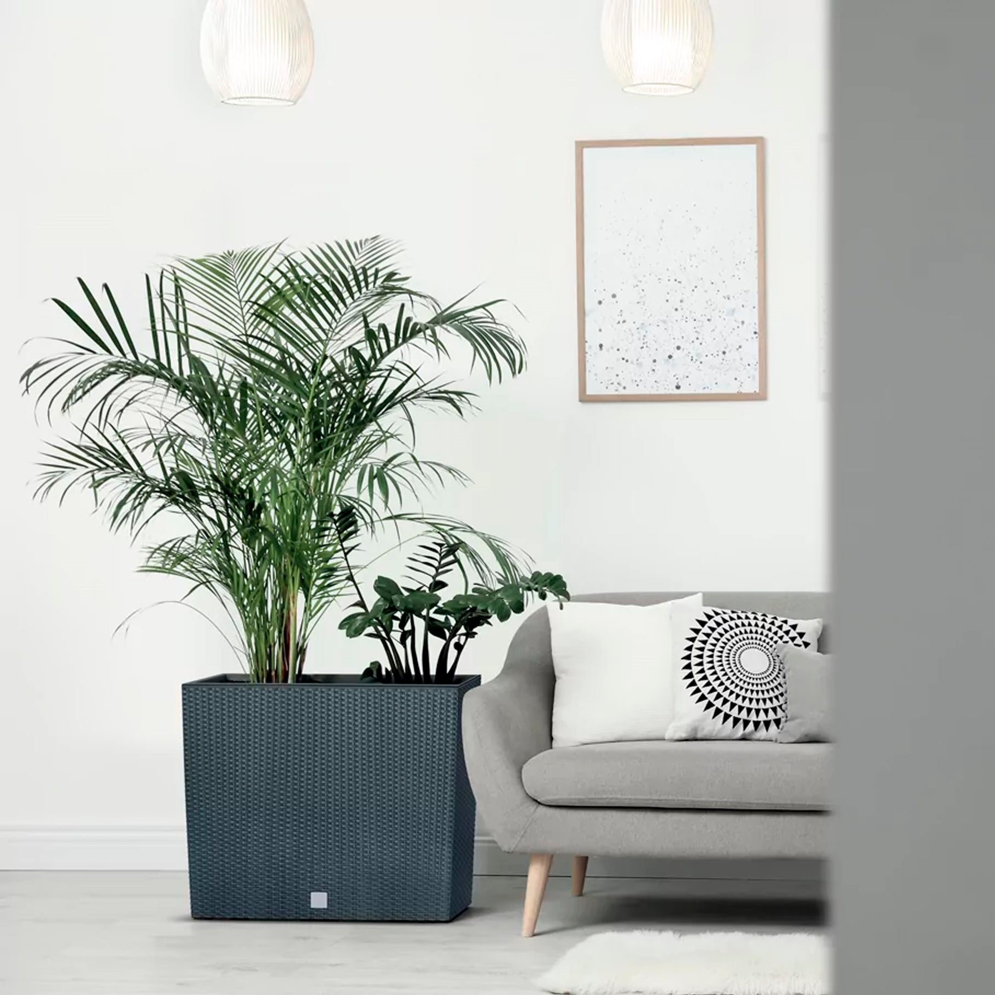 Jardinera Para Balcón Rato Case , Dimensiones (mm) 580x180x498, Color Blanco