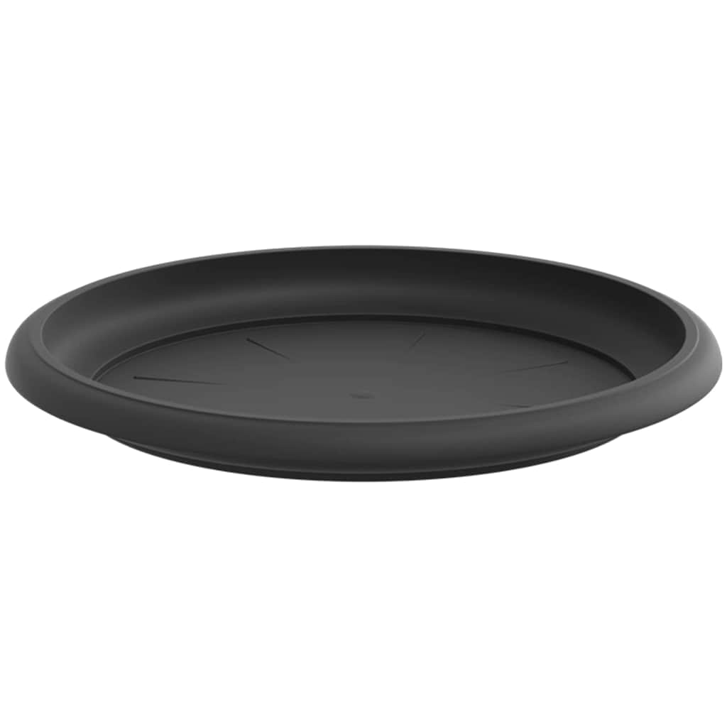 Bandeja Redonda Para Flores 24 Uds. Negro Ø 17,5 X 2 Cm_4