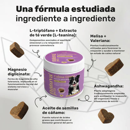 Pack Calmante + Polvo Dental Para Perros. Suplementos Mascotas. 120 Masticables Y 180 G. Natuva Pets_2