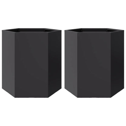 Jardineras Hexagonales 2 Uds Acero Negra 46x40x45 Cm_0