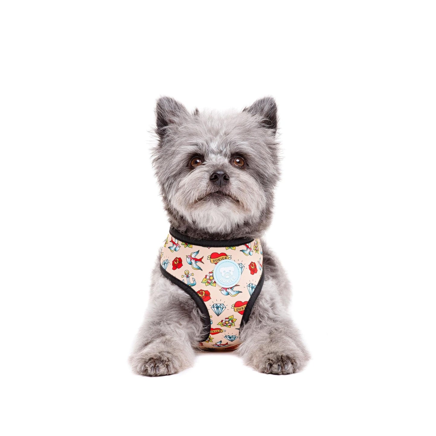 Peitoral reversível para cães TATTOO Dukier