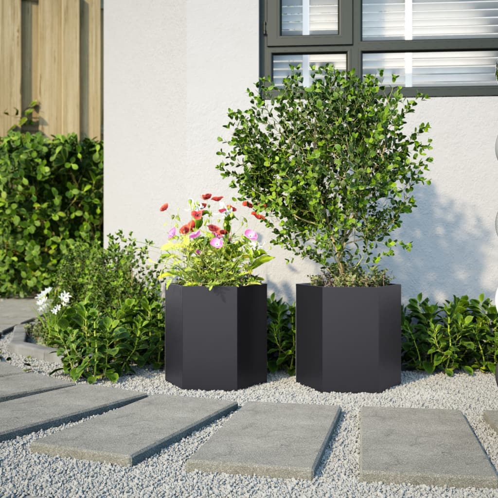 Jardineras Hexagonales 2 Uds Acero Negra 46x40x45 Cm_3