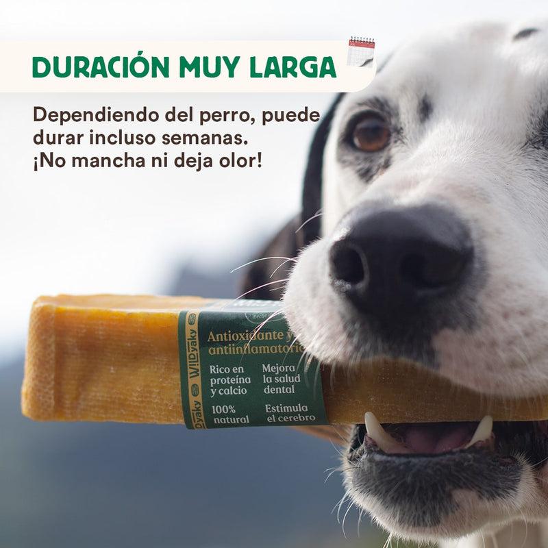 Barra de leite de iaque do Himalaia Wild Yaky Golden Teether com curcuma Wild Balance 1 unid.