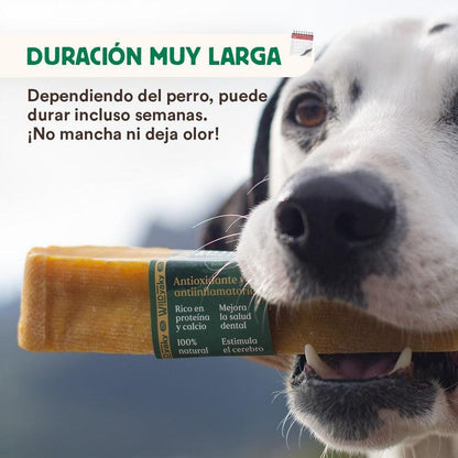 Barra de leite de iaque do Himalaia Wild Yaky Golden Teether com curcuma Wild Balance 1 unid.