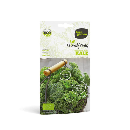 Sementes de couve biológica Westlande Herfst Vitalfoods