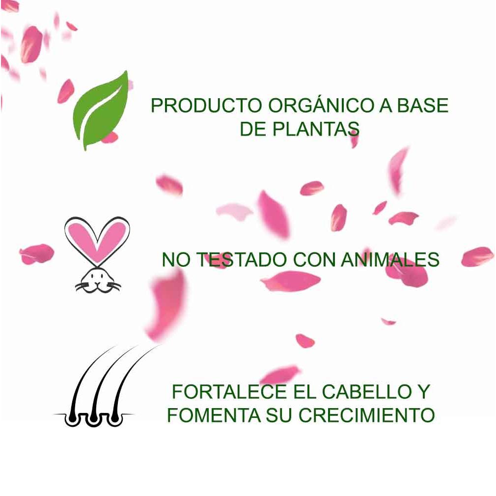 Tratamento Capilar Radhe Pétalas de Rosa 100 g