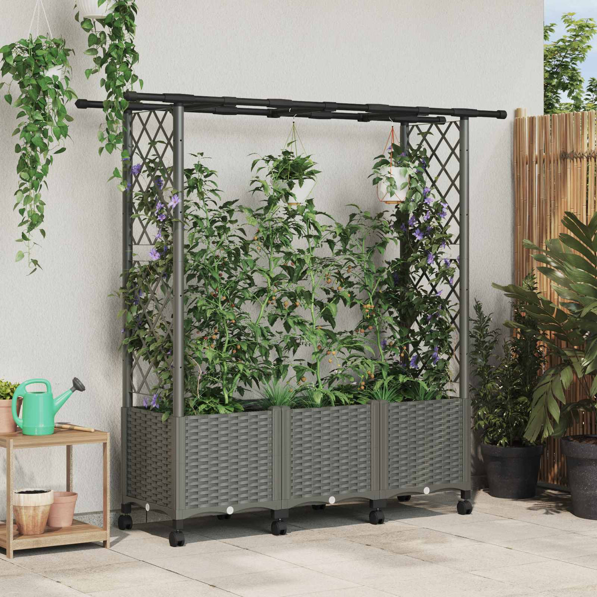 Cama Elevada Con Trellis Y Techo Gris Claro 162,5 X 40 X 142 Cm_1