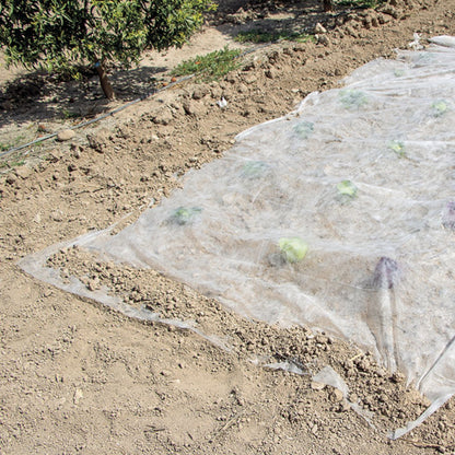 Véu de crescimento Climatex Nortene 2 x 5 m